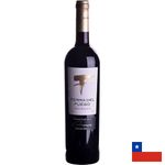 VinhoTintoTierradelFuegoGranReservaCarmenere750ml184249jpg