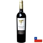 VinhoTintoTierradelFuegoGranReservaCabernetSauvignon750ml184252jpg