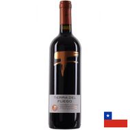 Vinho Tinto Tierra del Fuego Cabernet Sauvignon 750ml