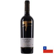 Vinho Tinto Tierra del Fuego Reserva Carménère 750ml