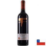 Vinho Tinto Tierra del Fuego Carménère 750ml