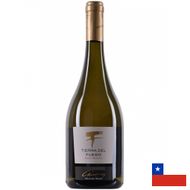 Vinho Branco Tierra del Fuego Gran Reserva Chardonnay 750ml