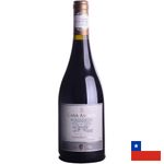 Vinho-Tinto-Casa-Amada-Gran-Reserva-Syrah-750ml-194249.jpg