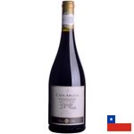 Vinho-Tinto-Casa-Amada-Reserva-Syrah-750ml-194244.jpg