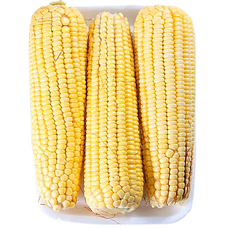 0000000101011