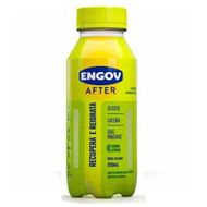 Bebida Engov After Citrus 250ml