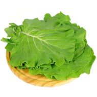 Couve Verde Gardini Un