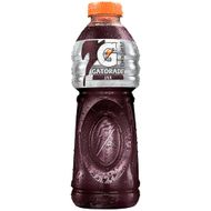 Isotônico Gatorade Uva 500ml Garrafa
