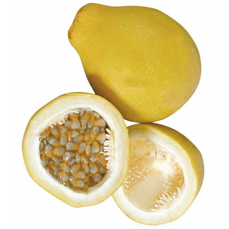 1205