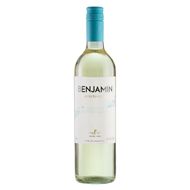 Vinho Branco Benjamin Nieto Senetiner Torrontés 750ml