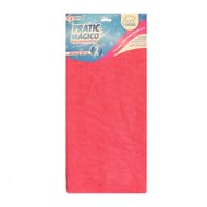 Pano Mágico Pratic Casa Banheiro 40x50cm com 2un