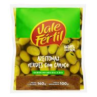 Azeitonas Verdes Vale Fértil com Caroço 100g