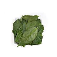 Ora-Pro-Nobis Aroma e Sabor 20g