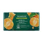 7509546694191-SaboneteemBarraPalmoliveNaturalsFrescorNutritivoTangerina&Alecrim6x85-5.jpg